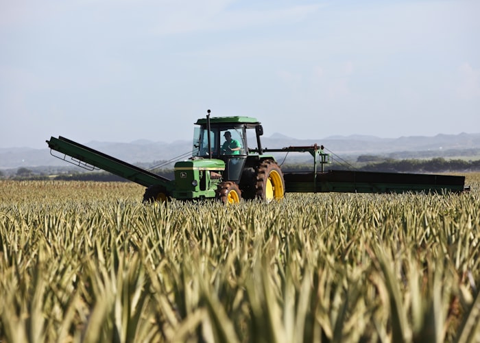Why Saved Feed Matters In Organic Farming