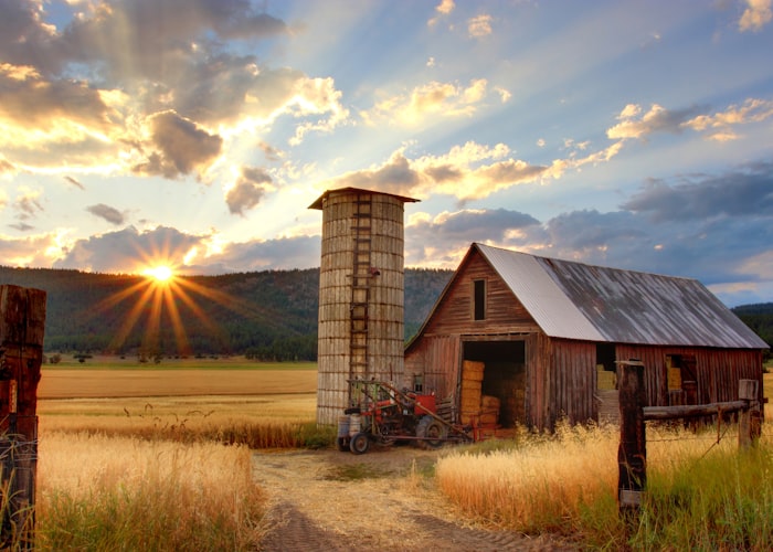 Better Feed Efficiency, Lower Cattle Emissions