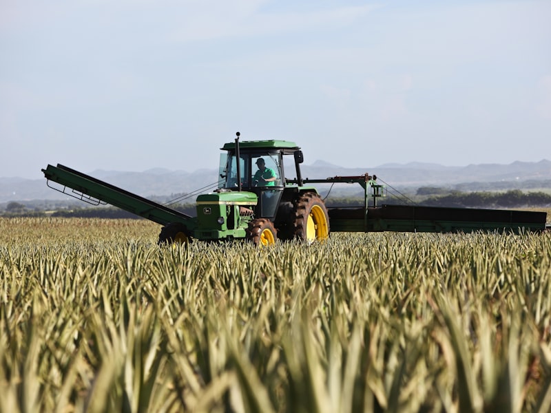 Life on the ASoc farm 4
